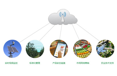 智能農業管理 項目概述與未來展望